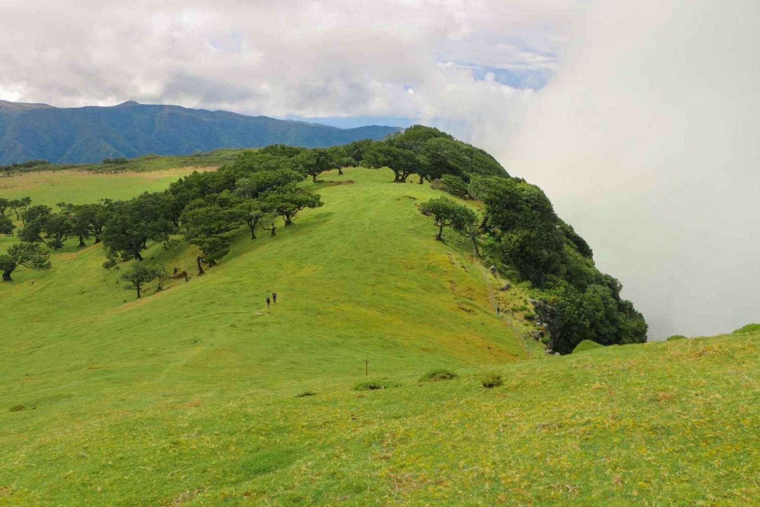 Madeira: Fanal and Seixal Beach Guided Tour