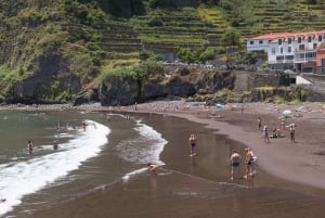 Madeira: Fanal and Seixal Beach Guided Tour