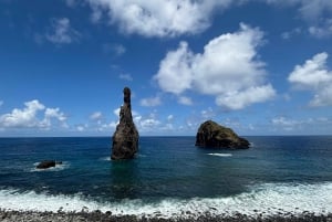 Madeira: Fanal Forest and Cabo Girão for Cruise Ship