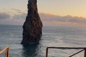 Madeira: Fanal Forest, Lava Pools & Wine Tasting Tour