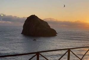 Madeira: Fanal Forest, Lava Pools & Wine Tasting Tour