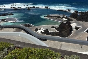 Madeira: Fanal Forest, Lava Pools & Wine Tasting Tour