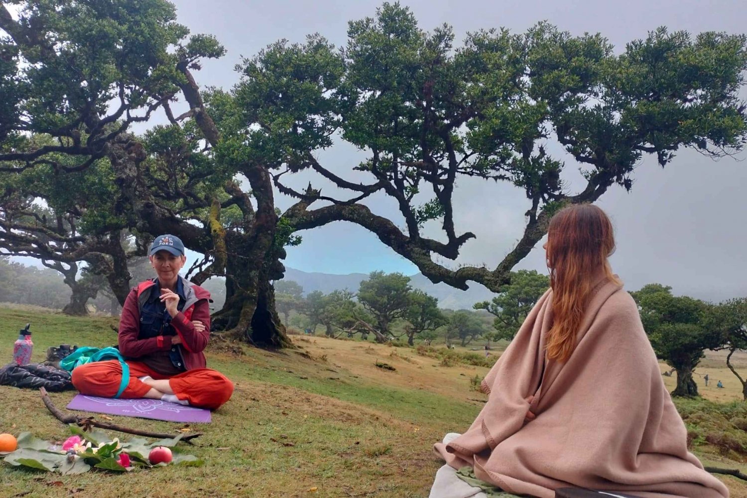 Madeira: Fanal Forest Tree Connection Ceremony & Picnic