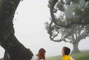 Madeira: Fanal Forest Tree Connection Ceremony & Picnic