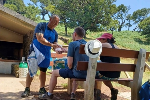 Fanal Forest Walk & Meal