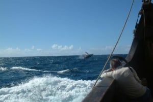 Madeira: Flag Ship Tour aboard Santa Maria de Colombo