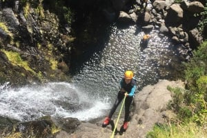 Madeira: Full Canyoning Experience