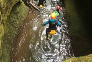 Madeira: Full Canyoning Experience