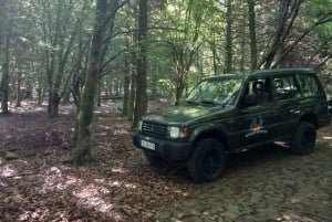 MADEIRA: Jeep Safari to Pico Arieiro & Santana local Houses