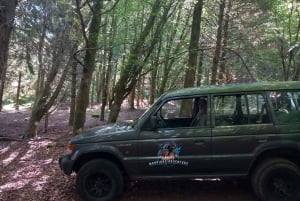 MADEIRA: Jeep Safari to Pico Arieiro & Santana local Houses