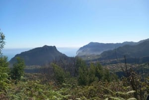 MADEIRA: Jeep Safari to Pico Arieiro & Santana local Houses