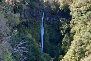 MADEIRA: Jeep Safari to Pico Arieiro & Santana local Houses