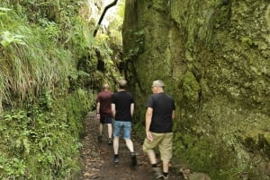 MADEIRA: Jeep Safari to Pico Arieiro & Santana local Houses