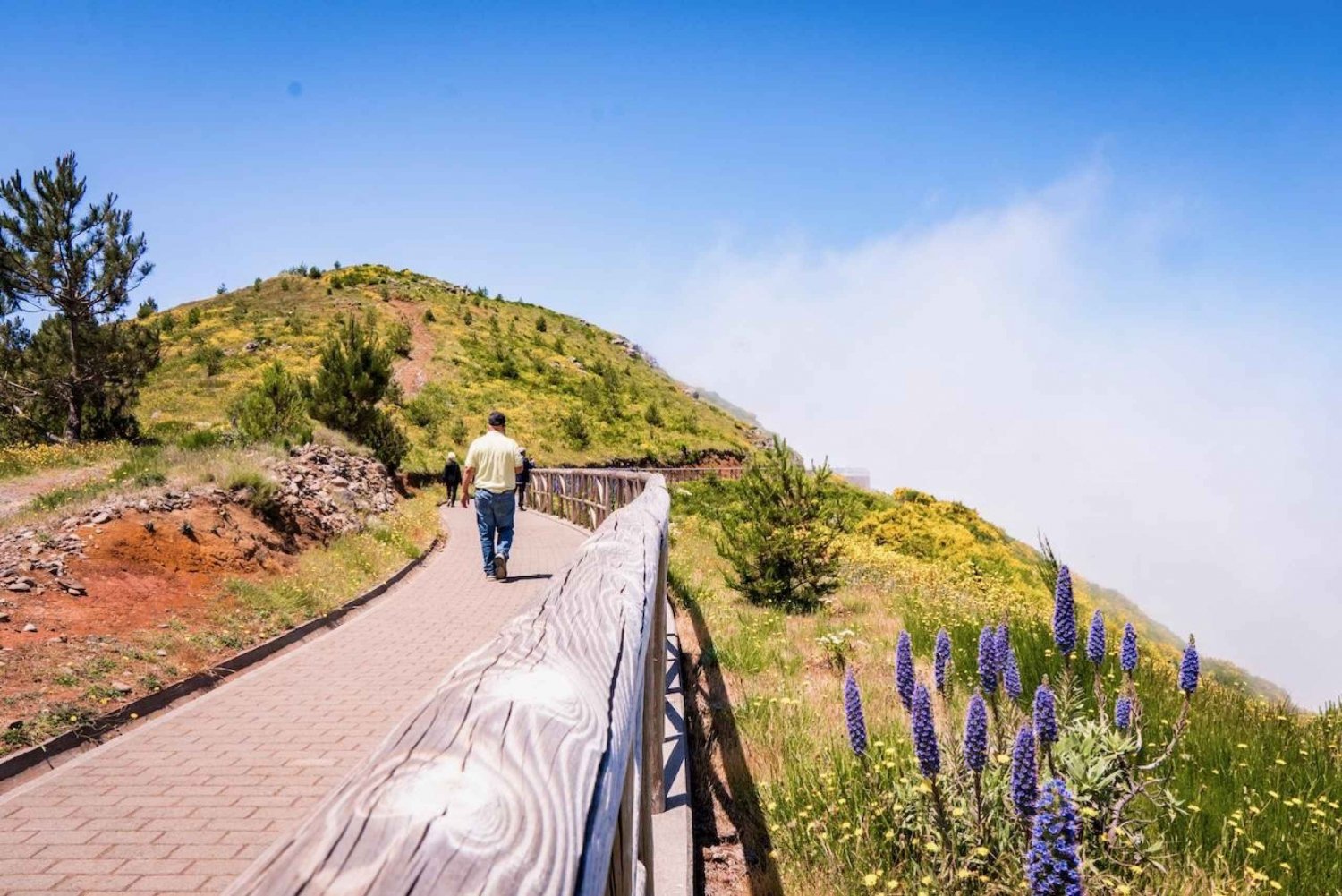 Madeira : Full Day Adult only East 4x4 Tour