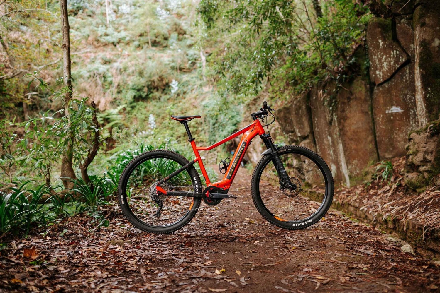 Madeira: Full Day E-Bike Rental