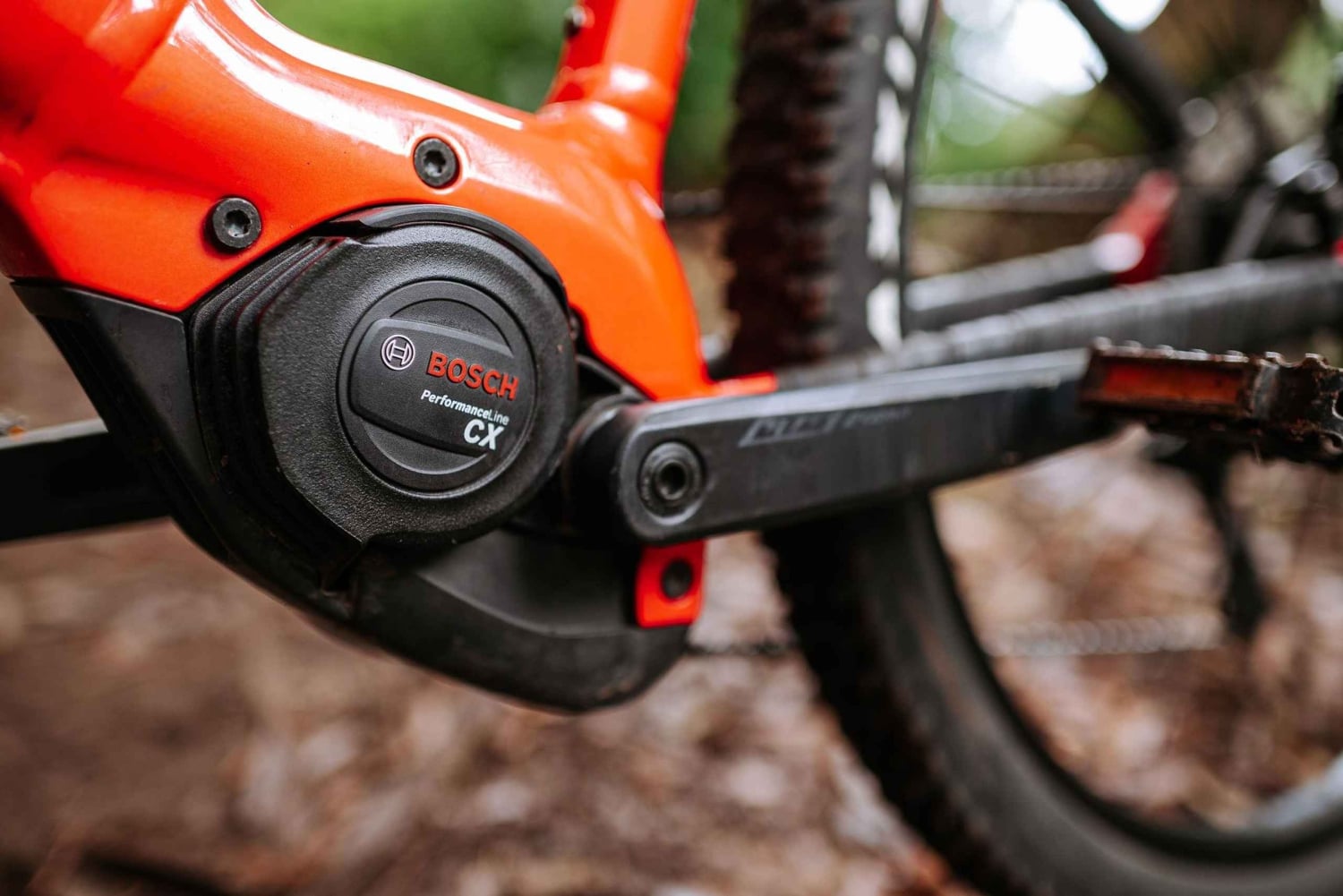 Madeira: Aluguel de E-Bike de dia inteiro