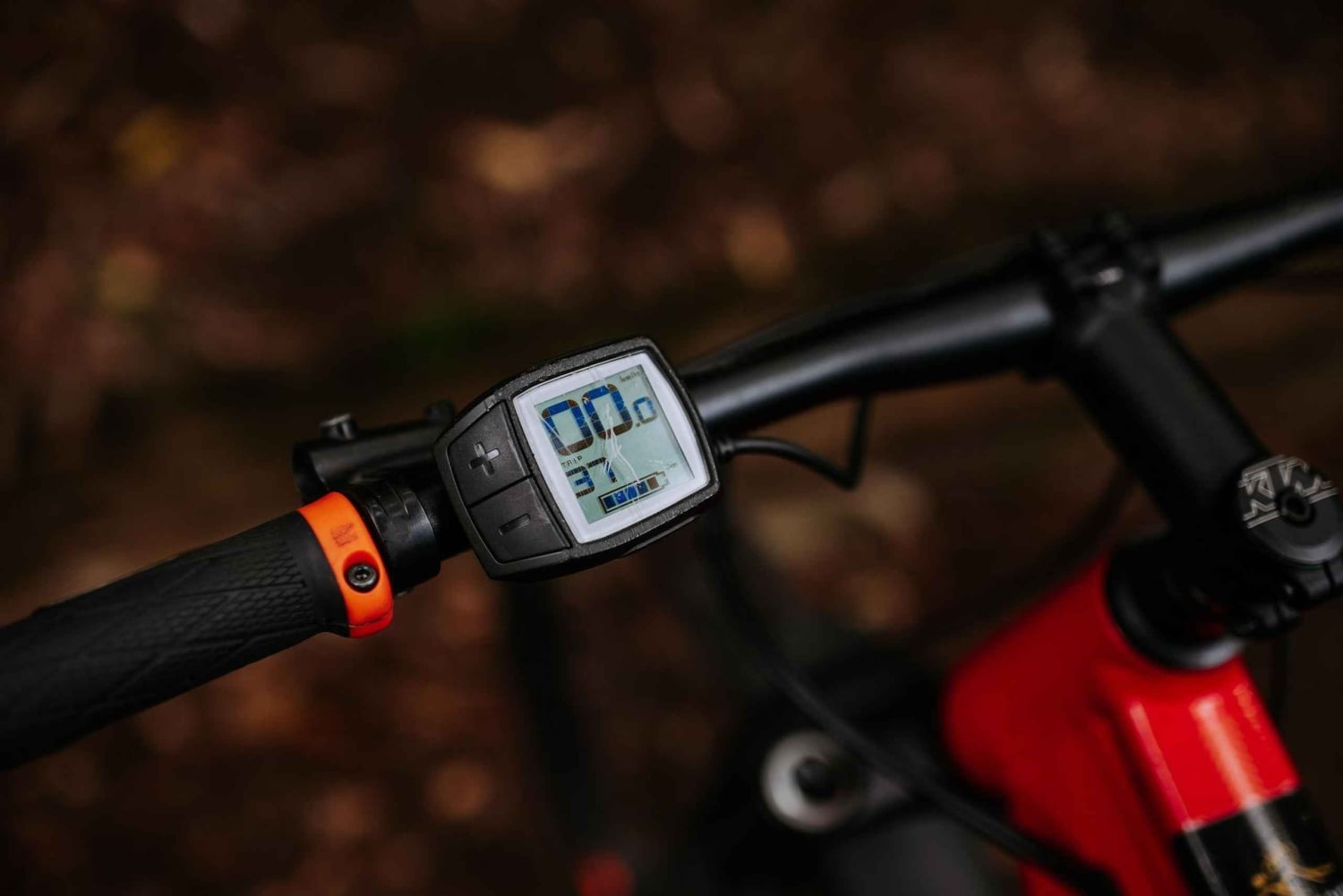 Madeira: Aluguel de E-Bike de dia inteiro