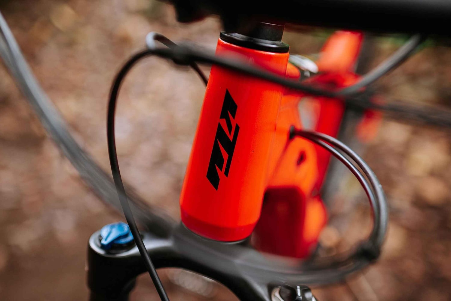 Madeira: Aluguel de E-Bike de dia inteiro