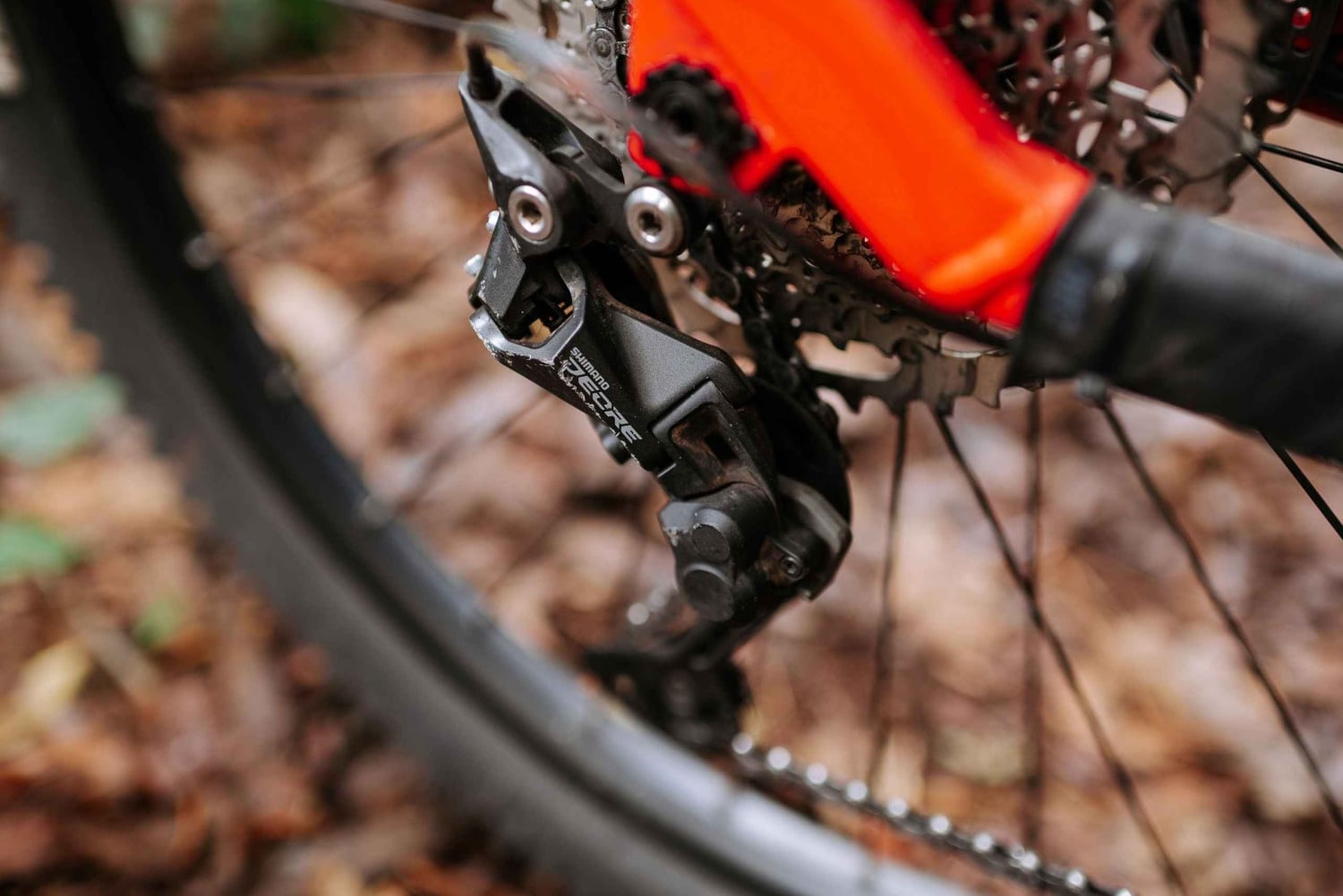 Madeira: Aluguel de E-Bike de dia inteiro