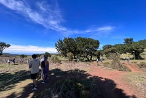 Madeira: Full-Day Jeep Tour with Guide and Pickup