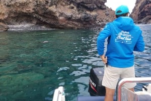 Madeira: Full-Day of Activities in Ponta de São Lourenço