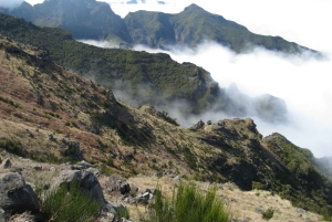 Madère : Promenade d'une journée au Pico Ruivo / Achada do Teixeira