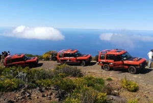 Madeira: Full-Day Porto Moniz Jeep Tour