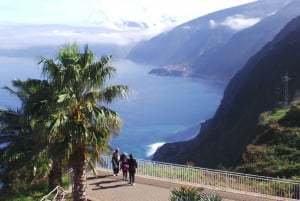 Madeira: Full Day Private Jeep Tour East or West