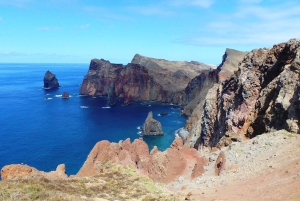 Мадейра: частный тур на джипах на целый день на восток или запад