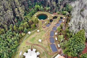 Мадейра: частный тур на джипах на целый день на восток или запад