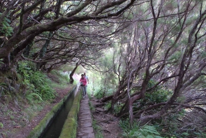 Мадейра: частный тур на джипах на целый день на восток или запад