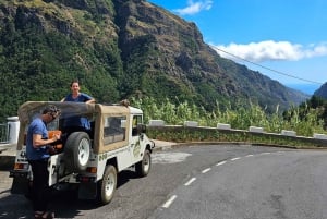 Madeira: full-day private tour (max. 6 people)