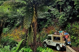 Madeira: full-day private tour (max. 6 people)