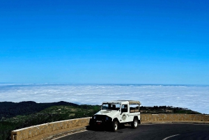 Madeira: full-day private tour (max. 6 people)