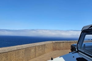 Madeira: full-day private tour (max. 6 people)