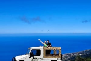 Madeira: full-day private tour (max. 6 people)