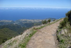 Madeira: Full-Day Pico Ruivo / Achada do Teixeira Walk