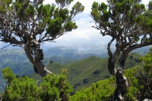 Madeira: Full-Day Pico Ruivo / Achada do Teixeira Walk