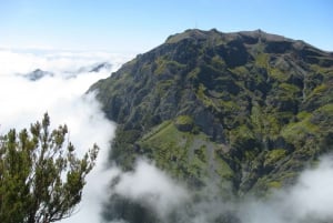 Madeira: Full-Day Pico Ruivo / Achada do Teixeira Walk