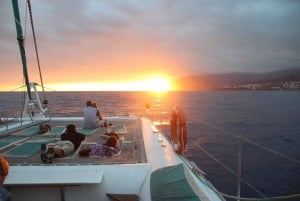 Madeira: Funchal Sunset Tour by Catamaran