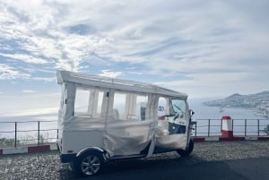 Madeira: Funchal's Eco Private Tour durch die Stadtführung