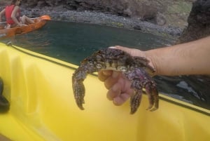 Madeira: Garajau Nature Reserve Kayak and Snorkel Tour