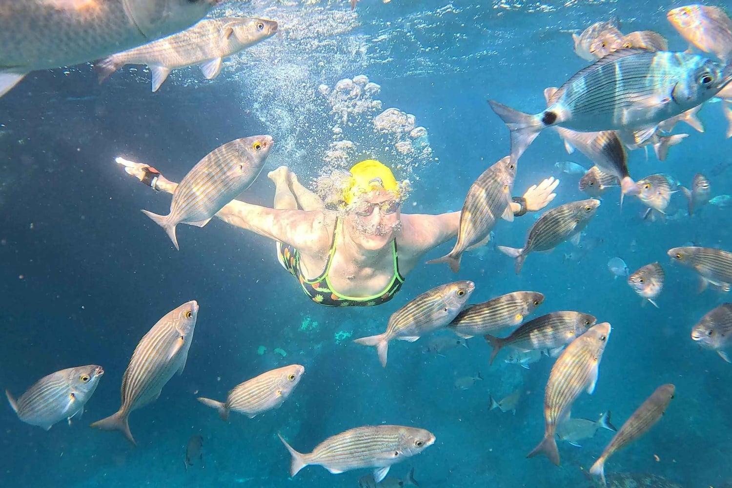 Madeira: Excursão a Nado à Reserva Natural do Garajau