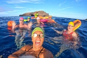 Madeira: Garajau Nature Reserve Swim Tour