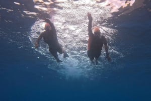 Madeira: Garajau Nature Reserve Swim Tour