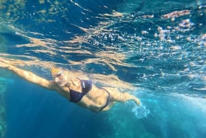 Madeira: Garajau Nature Reserve Swim Tour