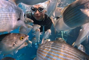 Madeira: Garajau Nature Reserve Swim Tour