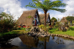 Madeira: Go East Island Tour