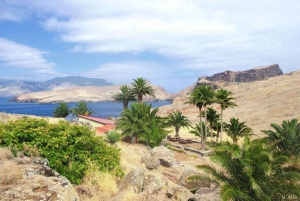 Madeira: Go East Island Tour