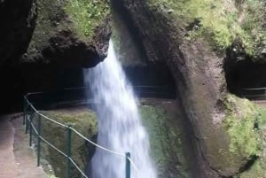 Passeggiate verdi a Madeira: natura e incanti di montagna